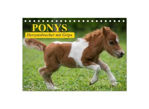 9783435651184 - Ponys Herzensbrecher mit Grips (Tischkalender 2025 DIN A5 quer) CALVENDO Monatskalender