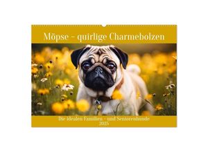 9783435652167 - Möpse - quirlige Charmebolzen (Wandkalender 2025 DIN A2 quer) CALVENDO Monatskalender