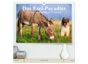 9783435653447 - Das Esel-Paradies - Hunde und andere Feunde (hochwertiger Premium Wandkalender 2025 DIN A2 quer) Kunstdruck in Hochglanz