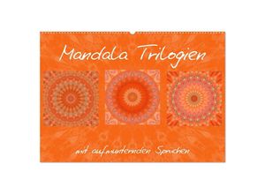 9783435653645 - Mandala Trilogien (Wandkalender 2025 DIN A2 quer) CALVENDO Monatskalender