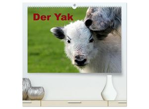 9783435653737 - Der Yak (hochwertiger Premium Wandkalender 2025 DIN A2 quer) Kunstdruck in Hochglanz