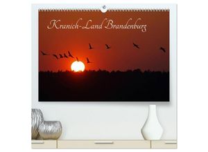 9783435654536 - Kranich-Land Brandenburg (hochwertiger Premium Wandkalender 2025 DIN A2 quer) Kunstdruck in Hochglanz