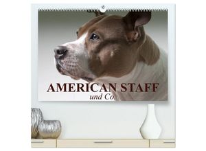 9783435656059 - American Staff und Co (hochwertiger Premium Wandkalender 2025 DIN A2 quer) Kunstdruck in Hochglanz