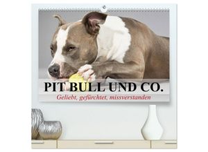 9783435656370 - Pit Bull und Co - Geliebt gefürchtet missverstanden (hochwertiger Premium Wandkalender 2025 DIN A2 quer) Kunstdruck in Hochglanz