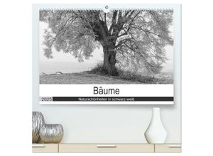 9783435657896 - Bäume - Naturschönheiten in schwarz-weiß (hochwertiger Premium Wandkalender 2025 DIN A2 quer) Kunstdruck in Hochglanz