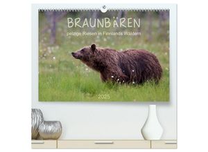 9783435658244 - Braunbären - pelzige Riesen in Finnlands Wäldern (hochwertiger Premium Wandkalender 2025 DIN A2 quer) Kunstdruck in Hochglanz