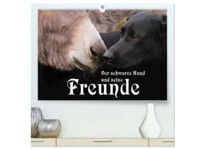 9783435659302 - Der schwarze Hund und seine Freunde (hochwertiger Premium Wandkalender 2025 DIN A2 quer) Kunstdruck in Hochglanz