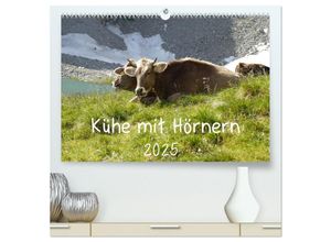 9783435659500 - Kühe mit Hörnern (hochwertiger Premium Wandkalender 2025 DIN A2 quer) Kunstdruck in Hochglanz