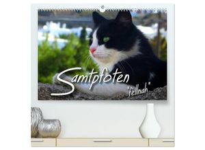 9783435660162 - SAMTPFOTEN fellnah (hochwertiger Premium Wandkalender 2025 DIN A2 quer) Kunstdruck in Hochglanz