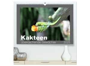 9783435660957 - Kakteen - überraschende Gewächse (hochwertiger Premium Wandkalender 2025 DIN A2 quer) Kunstdruck in Hochglanz