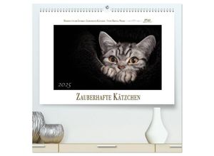 9783435661640 - Zauberhafte Kätzchen (hochwertiger Premium Wandkalender 2025 DIN A2 quer) Kunstdruck in Hochglanz