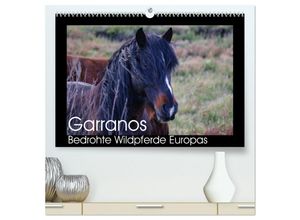 9783435662937 - Garranos - Bedrohte Wildpferde Europas (hochwertiger Premium Wandkalender 2025 DIN A2 quer) Kunstdruck in Hochglanz