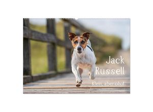 9783435665549 - Jack Russell - Klein aber oho! (Wandkalender 2025 DIN A2 quer) CALVENDO Monatskalender