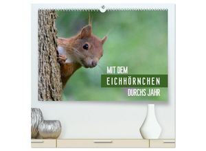 9783435665662 - Mit dem Eichhörnchen durchs Jahr (hochwertiger Premium Wandkalender 2025 DIN A2 quer) Kunstdruck in Hochglanz