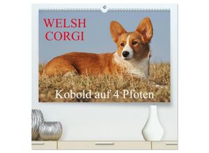 9783435666102 - Welsh Corgi - Kobold auf 4 Pfoten (hochwertiger Premium Wandkalender 2025 DIN A2 quer) Kunstdruck in Hochglanz