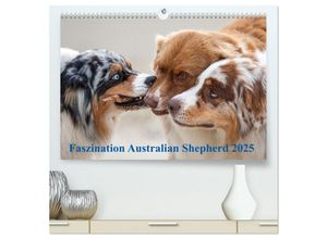 9783435667444 - Australian Shepherd 2025 (hochwertiger Premium Wandkalender 2025 DIN A2 quer) Kunstdruck in Hochglanz