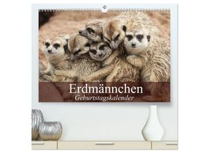 9783435667499 - Erdmännchen (hochwertiger Premium Wandkalender 2025 DIN A2 quer) Kunstdruck in Hochglanz