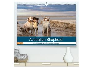 9783435667543 - Australian Shepherd 2025 (hochwertiger Premium Wandkalender 2025 DIN A2 quer) Kunstdruck in Hochglanz