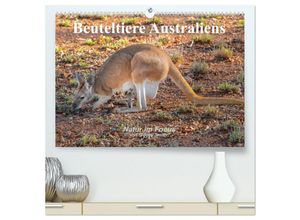 9783435668595 - Beuteltiere Australiens (hochwertiger Premium Wandkalender 2025 DIN A2 quer) Kunstdruck in Hochglanz