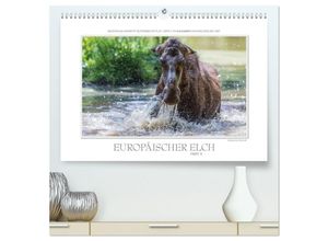 9783435668908 - Emotionale Momente Europäischer Elch Part II (hochwertiger Premium Wandkalender 2025 DIN A2 quer) Kunstdruck in Hochglanz