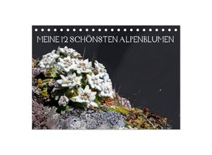9783435670215 - Meine 12 schönsten Alpenblumen (Tischkalender 2025 DIN A5 quer) CALVENDO Monatskalender