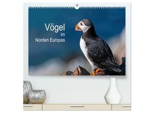 9783435670772 - Vögel im Norden Europas (hochwertiger Premium Wandkalender 2025 DIN A2 quer) Kunstdruck in Hochglanz