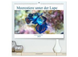 9783435671489 - Meerestiere unter der Lupe - Unterwasserkalender (hochwertiger Premium Wandkalender 2025 DIN A2 quer) Kunstdruck in Hochglanz