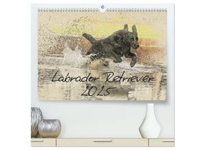 9783435671649 - Labrador Retriever 2025 (hochwertiger Premium Wandkalender 2025 DIN A2 quer) Kunstdruck in Hochglanz