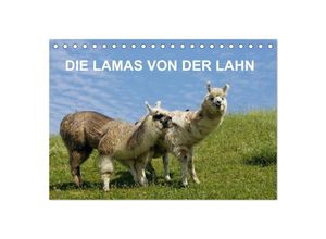 9783435672103 - DIE LAMAS VON DER LAHN (Tischkalender 2025 DIN A5 quer) CALVENDO Monatskalender