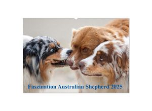 9783435672189 - Australian Shepherd 2025 (Wandkalender 2025 DIN A2 quer) CALVENDO Monatskalender