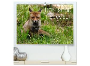 9783435672820 - Heimische Tierwelt (hochwertiger Premium Wandkalender 2025 DIN A2 quer) Kunstdruck in Hochglanz