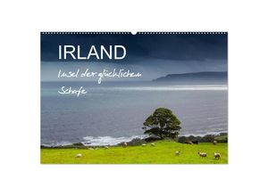 9783435672899 - IRLAND - Insel der glücklichen Schafe (Wandkalender 2025 DIN A2 quer) CALVENDO Monatskalender