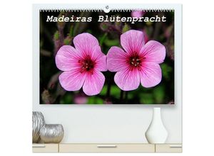 9783435672974 - Madeiras Blütenpracht (hochwertiger Premium Wandkalender 2025 DIN A2 quer) Kunstdruck in Hochglanz