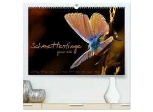 9783435673070 - Schmetterlinge ganz nah (hochwertiger Premium Wandkalender 2025 DIN A2 quer) Kunstdruck in Hochglanz