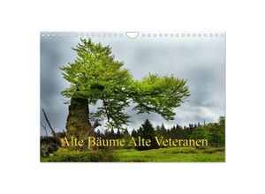 9783435673322 - Alte Bäume Alte Veteranen (Wandkalender 2025 DIN A4 quer) CALVENDO Monatskalender