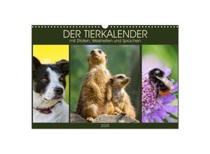 9783435673384 - Der Tierkalender mit Zitaten Weisheiten und Sprüchen (Wandkalender 2025 DIN A3 quer) CALVENDO Monatskalender