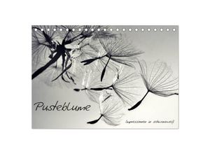 9783435673810 - Pusteblume - Impressionen in schwarzweiß (Tischkalender 2025 DIN A5 quer) CALVENDO Monatskalender