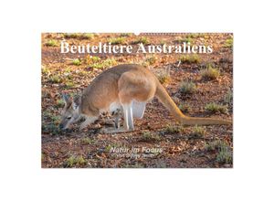 9783435673902 - Beuteltiere Australiens (Wandkalender 2025 DIN A2 quer) CALVENDO Monatskalender