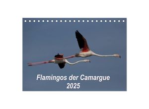 9783435674022 - Flamingos der Camargue 2025 (Tischkalender 2025 DIN A5 quer) CALVENDO Monatskalender