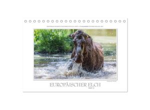 9783435674039 - Emotionale Momente Europäischer Elch Part II (Tischkalender 2025 DIN A5 quer) CALVENDO Monatskalender