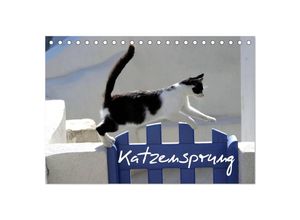 9783435674145 - Katzensprung (Tischkalender 2025 DIN A5 quer) CALVENDO Monatskalender