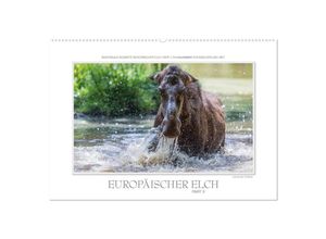 9783435674428 - Emotionale Momente Europäischer Elch Part II (Wandkalender 2025 DIN A2 quer) CALVENDO Monatskalender