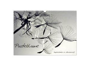 9783435674725 - Pusteblume - Impressionen in schwarzweiß (Wandkalender 2025 DIN A3 quer) CALVENDO Monatskalender