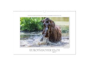 9783435674855 - Emotionale Momente Europäischer Elch Part II (Wandkalender 2025 DIN A3 quer) CALVENDO Monatskalender