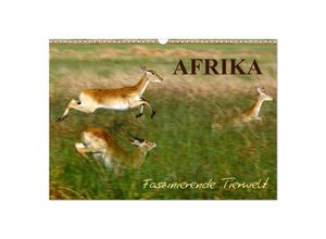 9783435674992 - Afrika - Faszinierende Tierwelt (Wandkalender 2025 DIN A3 quer) CALVENDO Monatskalender