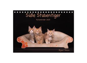 9783435675708 - Süße Stubentiger - Katzenkinder (Tischkalender 2025 DIN A5 quer) CALVENDO Monatskalender