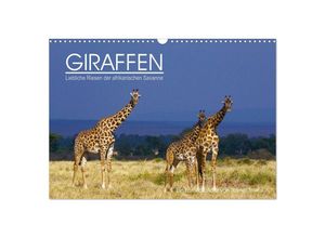 9783435676262 - GIRAFFEN - Liebliche Riesen der afrikanischen Savanne (Wandkalender 2025 DIN A3 quer) CALVENDO Monatskalender