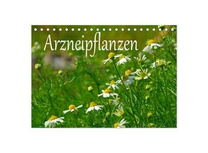 9783435676309 - Arzneipflanzen (Tischkalender 2025 DIN A5 quer) CALVENDO Monatskalender