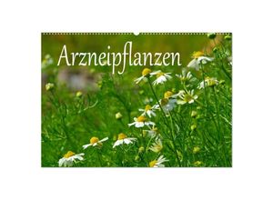 9783435676835 - Arzneipflanzen (Wandkalender 2025 DIN A2 quer) CALVENDO Monatskalender