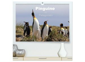 9783435677061 - Pinguine in Patagonien (hochwertiger Premium Wandkalender 2025 DIN A2 quer) Kunstdruck in Hochglanz